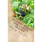 Mystery Behind The Garden Of Eden - Paperback