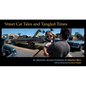 Street Cat Tales and Tangled Times: An American Journey Continues - Hardcover