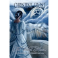 The Veiled Mirror: The Story of Prince Vlad Dracula's Lost Love - Paperback