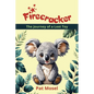 Firecracker: The Journey of a Lost Toy - Paperback