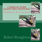 Camile Goes Giant Bug Hunting: Children's Picture Book - Paperback