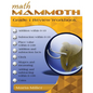 Math Mammoth Grade 1 Review Workbook - Paperback
