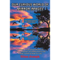 Our Curious World of Mirror Images: Reflections on How Symmetry Frames Our Universe, Empowers the Creative Process and Provides Context to Shape Our L - Paperback