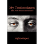 My Testimoknee; The Fire Behind the Flame - Paperback