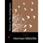 Pierre; or The Ambiguities - Paperback