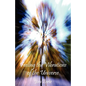 Feeling the Vibrations of the Universe - Paperback