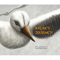 Kalak's Journey - Hardcover
