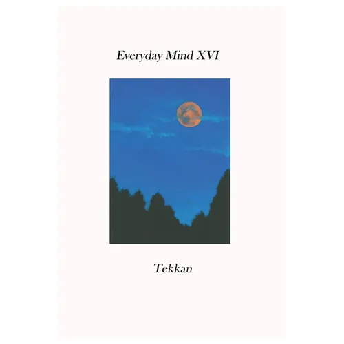 Everyday Mind XVI - Paperback