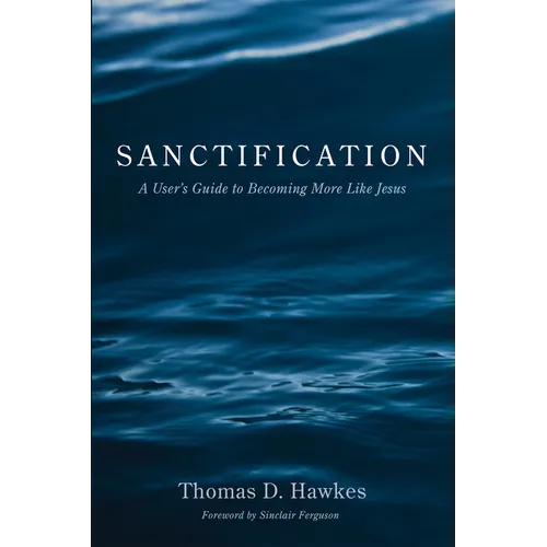Sanctification: A User's Guide to Becoming More Like Jesus - Hardcover