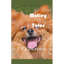 Motley Tales - Paperback
