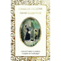 David Copperfield - Hardcover