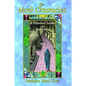 The Mind Chronicles: A Visionary Guide Into Past Lives - Paperback