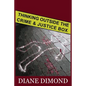 Thinking Outside the Crime and Justice Box - Paperback