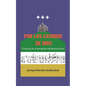 Por los caminos de Dios: Crónicas de un peregrino latinoamericano - Paperback