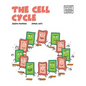 The Cell Cycle - Hardcover