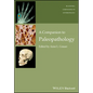 Companion to Paleopathology Ni - Paperback