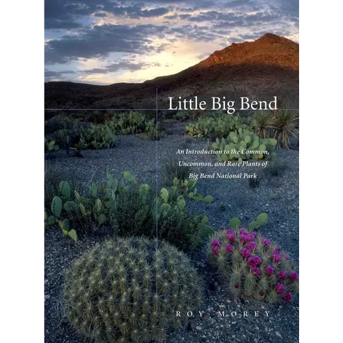 Little Big Bend: Common, Uncommon, and Rare Plants of Big Bend National Park - Paperback