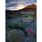 Little Big Bend: Common, Uncommon, and Rare Plants of Big Bend National Park - Paperback