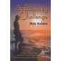 A Flaming Challenge: Extinguishing the Stressful Emotional Fires of Life and Changing Our Perspective on Chronic Autoimmune Disease - Paperback