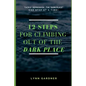 12 Steps for Climbing Out of the Dark Place: Overcoming Depression One Step at a Time... - Paperback