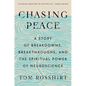 Chasing Peace: A Story of Breakdowns, Breakthroughs, and the Spiritual Power of Neuroscience - Hardcover