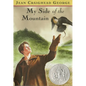 My Side of the Mountain - Hardcover