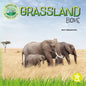 Grassland Biome - Paperback