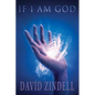 If I Am God - Paperback