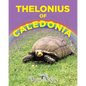 Thelonius of Caledonia - Paperback