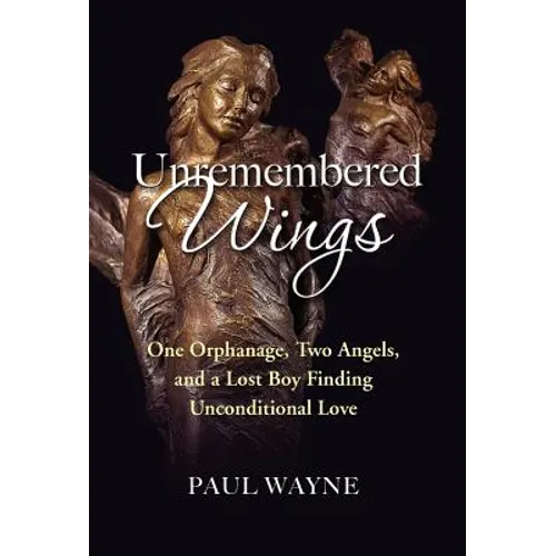 Unremembered Wings - Hardcover