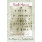 Black Mexico: Race and Society from Colonial to Modern Times - Paperback