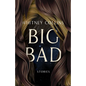 Big Bad - Paperback