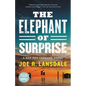 The Elephant of Surprise - Hardcover