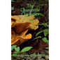 The Chanterelle Chronicles: A Myth - Hardcover