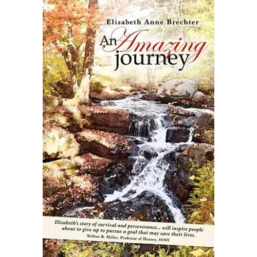 An Amazing Journey - Paperback
