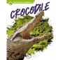 Crocodile - Paperback