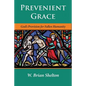 Prevenient Grace: God's Provision for Fallen Humanity - Paperback