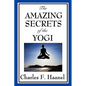 The Amazing Secrets of the Yogi - Paperback