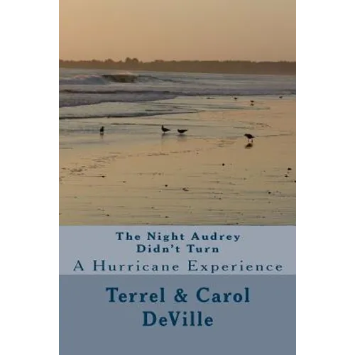 The Night Audrey Didn't Turn: A Hurricane Experience - Paperback