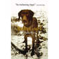 Bashan and I - Paperback
