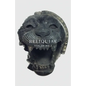 Reliquiae: Vol 10 No 1 - Paperback