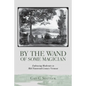 By the Wand of Some Magician: Embracing Modernity in Mid-Nineteenth Century Vermont - Paperback