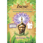 Isese Spirituality Workbook: The Ancestral Wisdom of the Ifa Orisa Tradition - Paperback