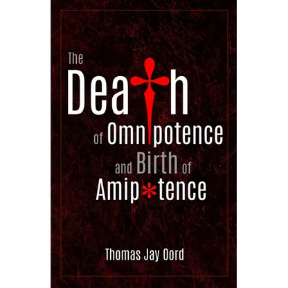 The Death of Omnipotence and Birth of Amipotence - Paperback