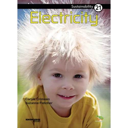 Electricity: Book 21 - Paperback