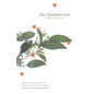 The Mandarin Tree - Paperback