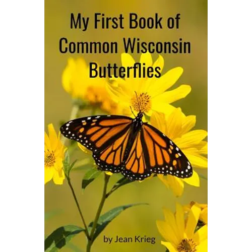 My First Book of Common Wisconsin Butterflies - Paperback