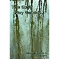 You Can't Play Outside . . . - Paperback