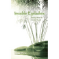 Invisible Eyelashes: Seeing What Is Closest to Us - Paperback