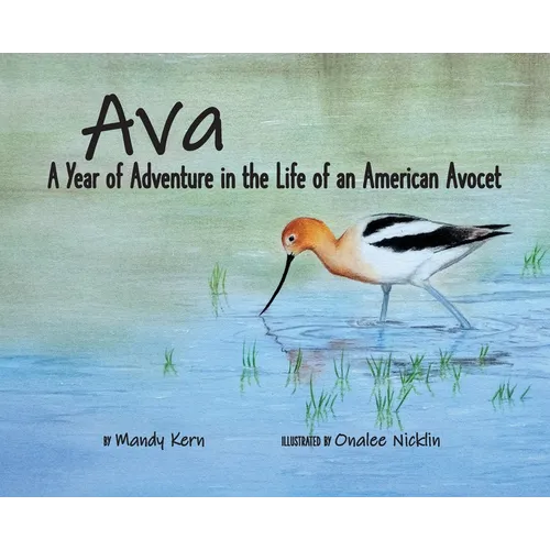 Ava: A Year of Adventure in the Life of an American Avocet - Hardcover